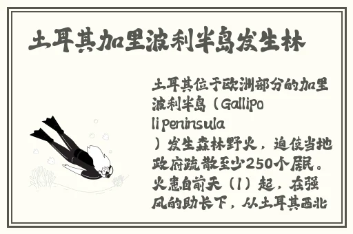 第四房色播网